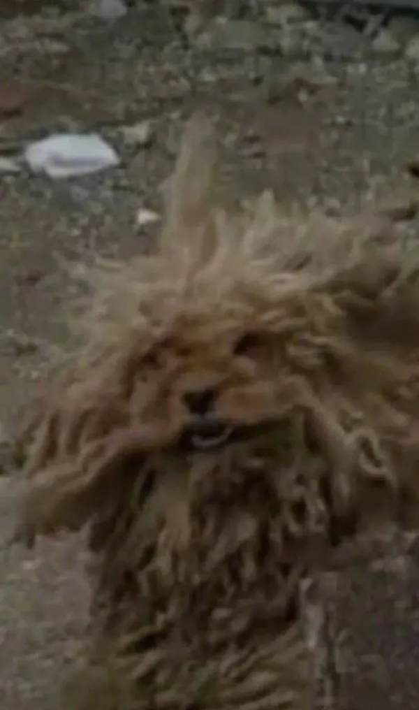 又一明星被爆塌房 好傢伙這是我今年見過最搞笑的塌房事件了吧 又一明星被爆塌房 好傢伙這是我今年見過最搞笑的塌房事件了吧