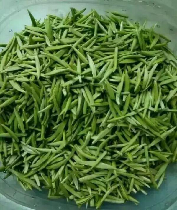 中國十大名茶 中國十大名茶