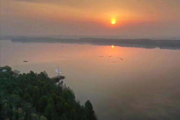 桂花芬芳,紅楓似火,崇明秋景打卡攻略來啦 桂花芬芳,紅楓似火,崇明秋景打卡攻略來啦