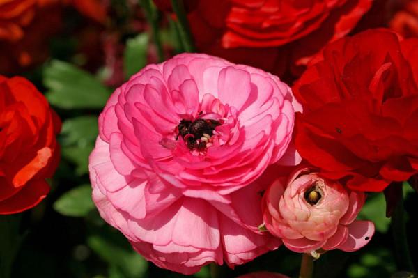 9月21日星座運勢:大膽嘗試,義無反顧的四大星座 9月21日星座運勢:大膽嘗試,義無反顧的四大星座