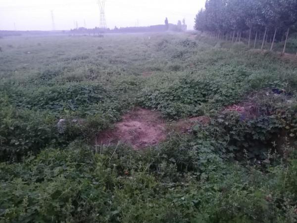 抗戰故事:神奇千里馬 抗戰故事:神奇千里馬