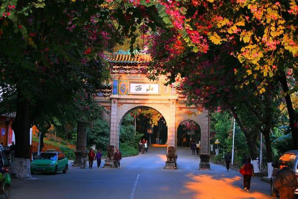 2021“冬遊廣西”正式啟動！