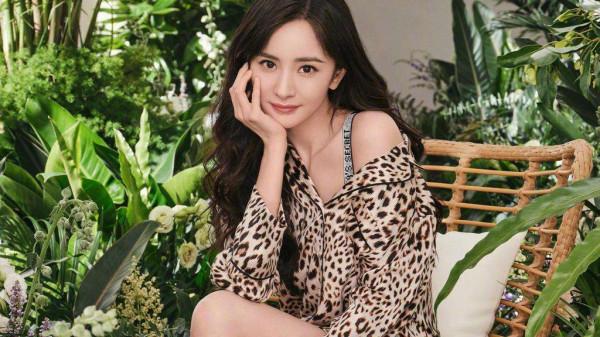 楊冪與粉絲對著幹？違背粉絲的意願，堅持選擇陳星旭當新劇的男主