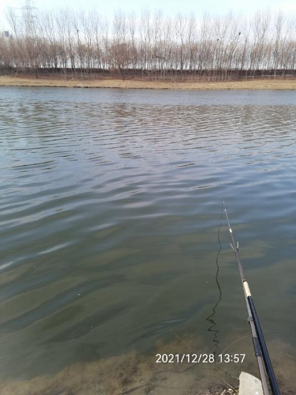 不斷改變作釣思路，寒冷冬季也能釣大板鯽