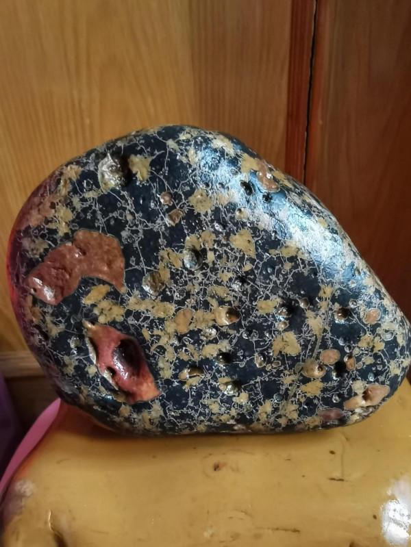 夢想成真終得梅花玉手石 夢想成真終得梅花玉手石