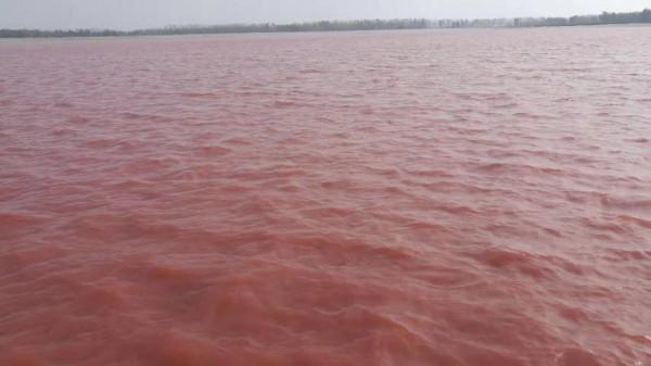 世界上最著名的海,我來告訴你 世界上最著名的海,我來告訴你