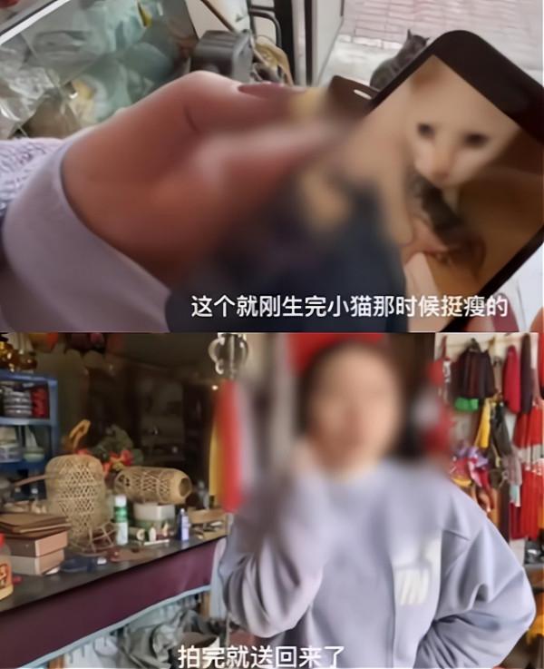 《當家》虐貓事件再升級!評分跌至3.5,蔣勤勤直呼演員不背鍋 《當家》虐貓事件再升級!評分跌至3.5,蔣勤勤直呼演員不背鍋