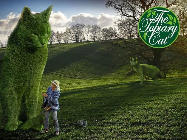 貓咪去世後被主人做成無人機，貓：沒想到死後還有一劫...