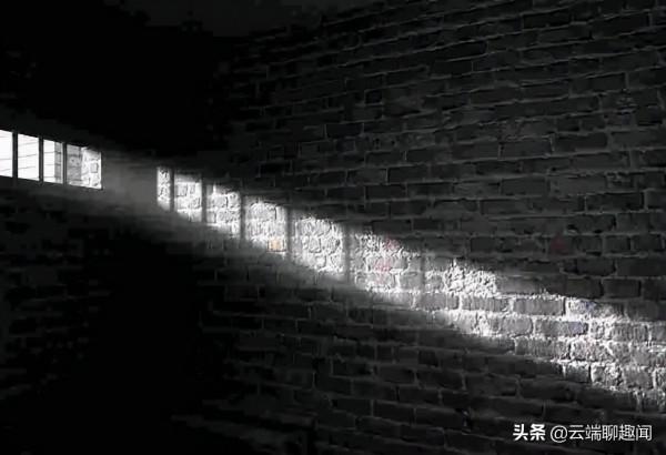 90後女演員被拘禁30多天,最後竟因“螞蟻森林”幸運獲救 90後女演員被拘禁30多天,最後竟因“螞蟻森林”幸運獲救