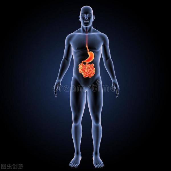 喝粥就能養胃?調理胃腸疾病要因人而異 喝粥就能養胃?調理胃腸疾病要因人而異