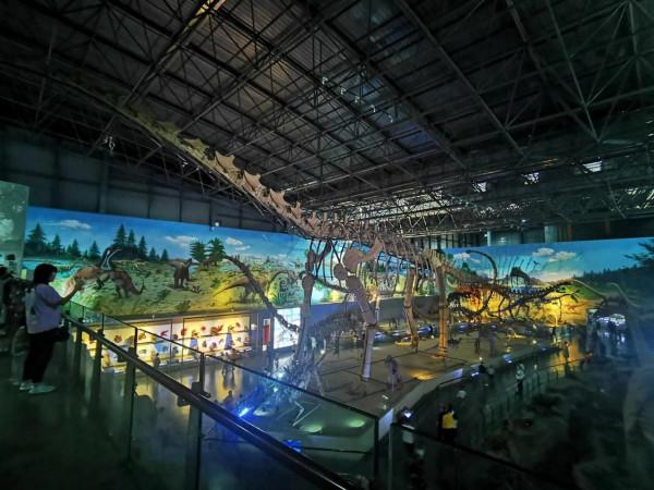 親子旅行-看,好多恐龍蛋呀 親子旅行-看,好多恐龍蛋呀