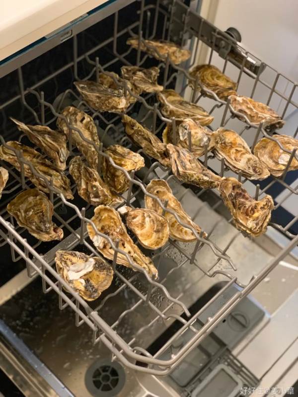 洗碗機洗萬物？春節期間全都用得上