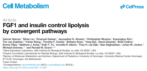 100年後，科學家發現了胰島素之外的第二個血糖調控通路