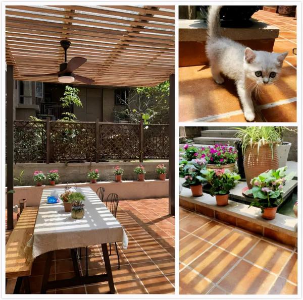 45天改造70㎡自家院子,他僅花4.2萬元,改後的花園也太美了吧 45天改造70㎡自家院子,他僅花4.2萬元,改後的花園也太美了吧