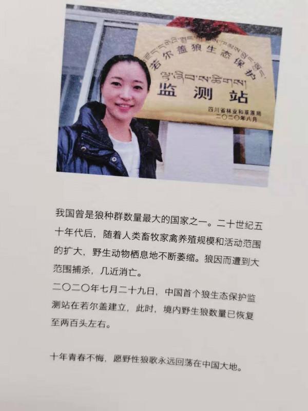 11年前，把狼當兒子帶回家的成都女孩，10年後在草原與它再次相認