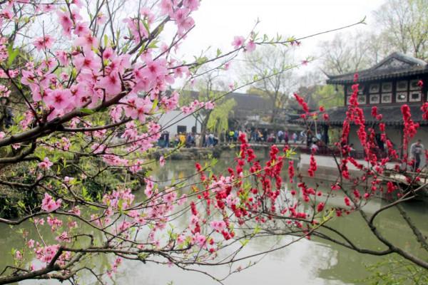 拙政園:園林之母,絕憐人境五百年 拙政園:園林之母,絕憐人境五百年