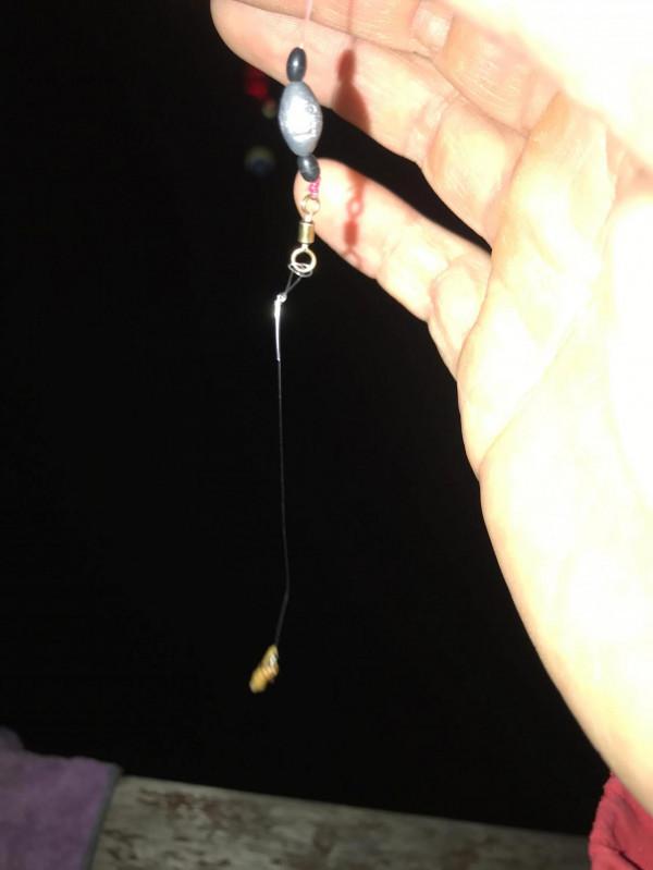 分享一下我釣邕江藍刀的方法和裝備