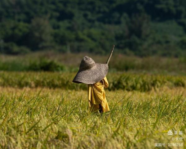 「視覺廣東」稻草人