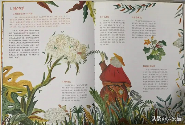 從環襯頁的腳印探尋神秘動物的真身