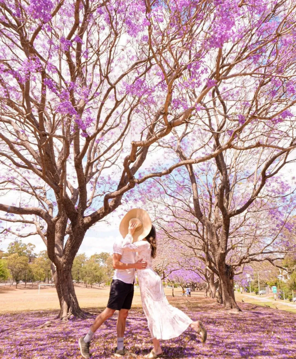 千變昆士蘭,探秘不一樣的美景 千變昆士蘭,探秘不一樣的美景