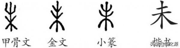 淺談十二地支的起源 淺談十二地支的起源