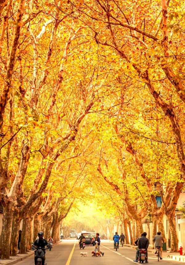 《國家地理》最新評出：10箇中國最美的旅行地，你去過幾個呢？