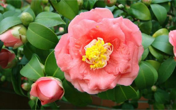 9月20日-26日星座運勢：金牛座魅力四射，雙子座雄心壯志