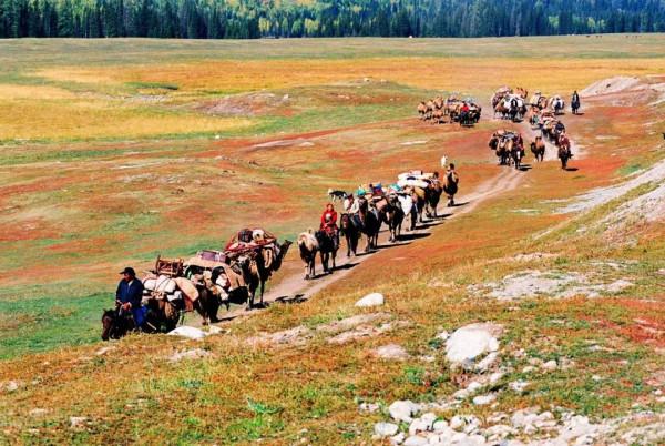 2021年國內旅行時間表出爐！承包你一整年的旅行