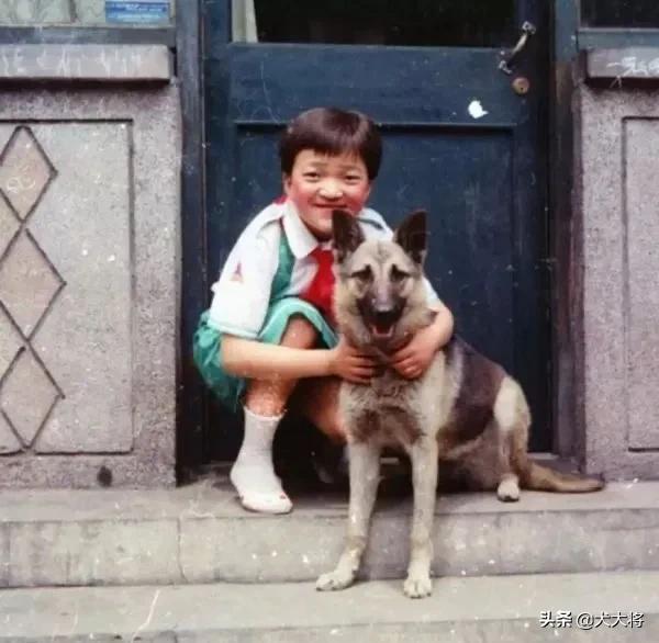 死去的狗子會回來找我們嗎？我用親身經歷告訴你，感動的我想哭