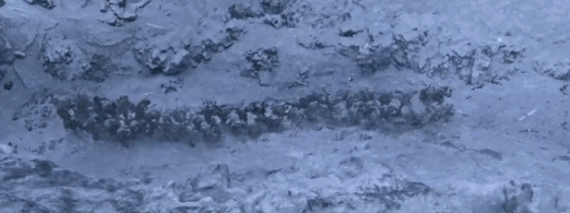 開年王炸《水門橋》，票房破25億，記錄了一段英雄史詩