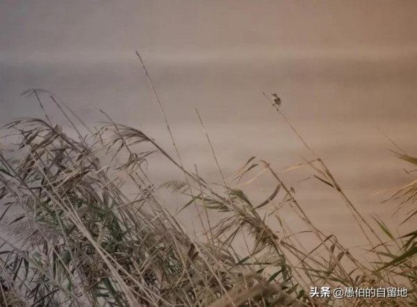 在住院最無助的日子,那個和我聊天的朋友 在住院最無助的日子,那個和我聊天的朋友