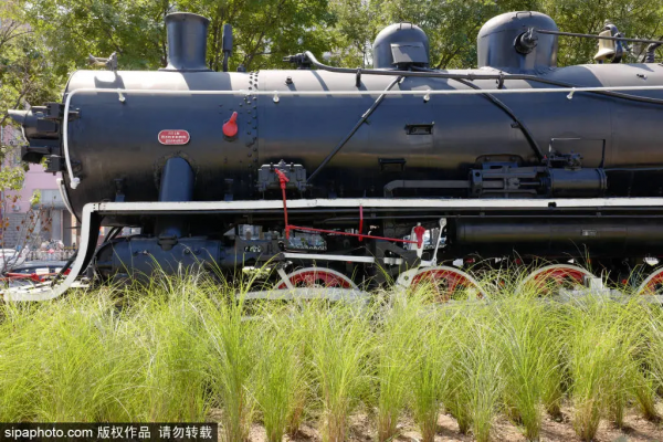 免費！這些公園低調卻各有特色，還有綠皮火車！