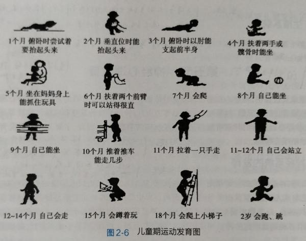 6個月是寶寶成長“分水嶺”，６大發育特點家長早了解，別養錯