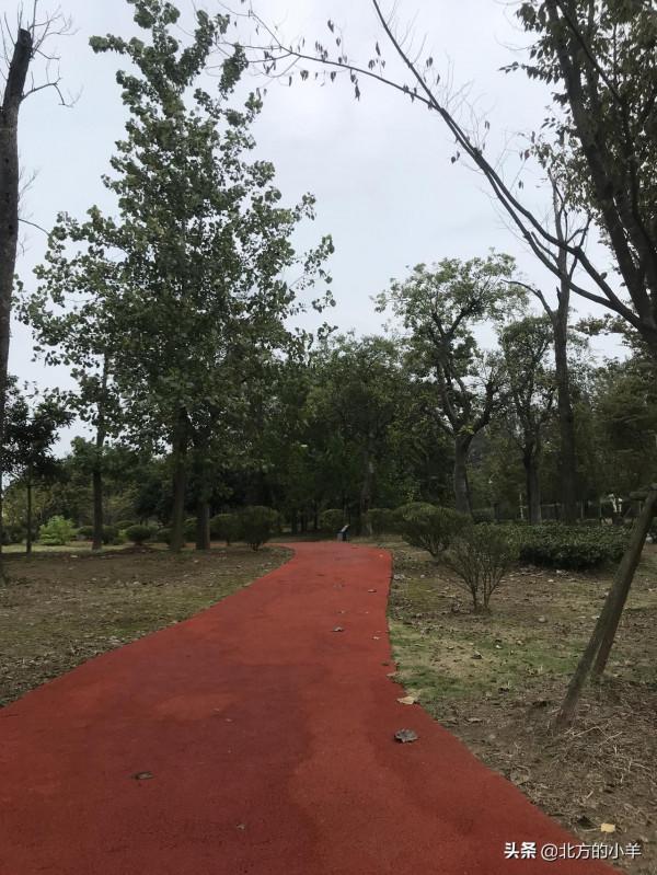 看祖國好風光：泗陽城市生態客廳