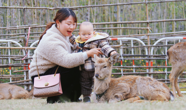 多圖預警｜鹿島公園&amp;趣玩萌寵節今日盛大開放