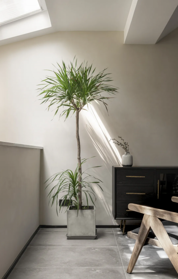 看完這個設計師的家,我找到了三代同堂的正確開啟方式 看完這個設計師的家,我找到了三代同堂的正確開啟方式