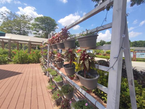 萬江兒童公園旁的筍盤——碧桂園雲樾半島
