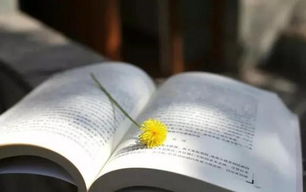 盈利的秘訣是要遵循需求定律 盈利的秘訣是要遵循需求定律