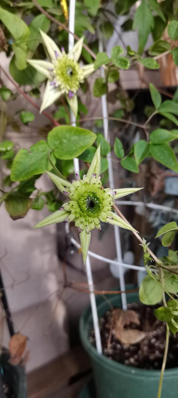 一個轉身，秋天成了風景，冬天成了期待，好好生活，慢慢相遇