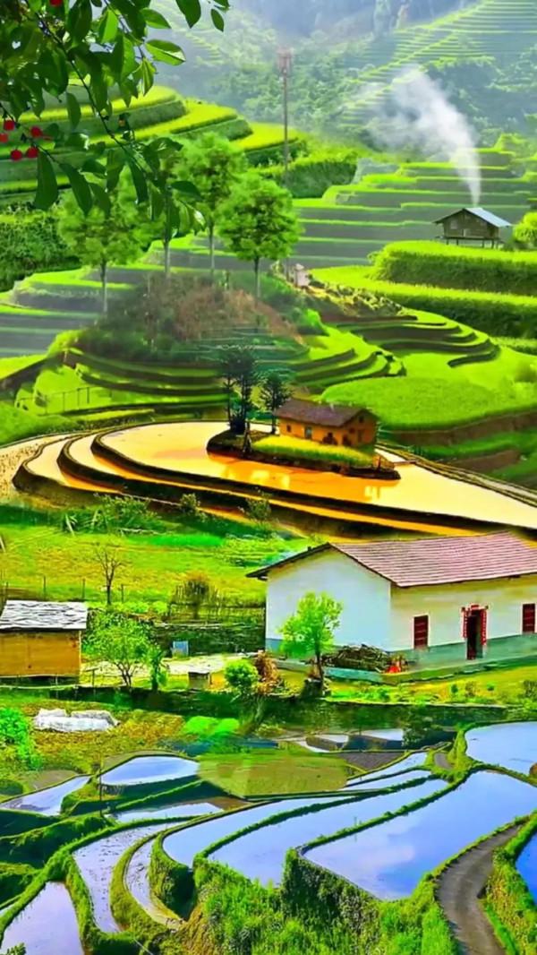美麗的梯田 美麗的梯田