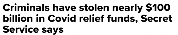 美國1000億美元救濟金被騙!他們花式圈錢,竟把聯邦政府當猴耍 美國1000億美元救濟金被騙!他們花式圈錢,竟把聯邦政府當猴耍