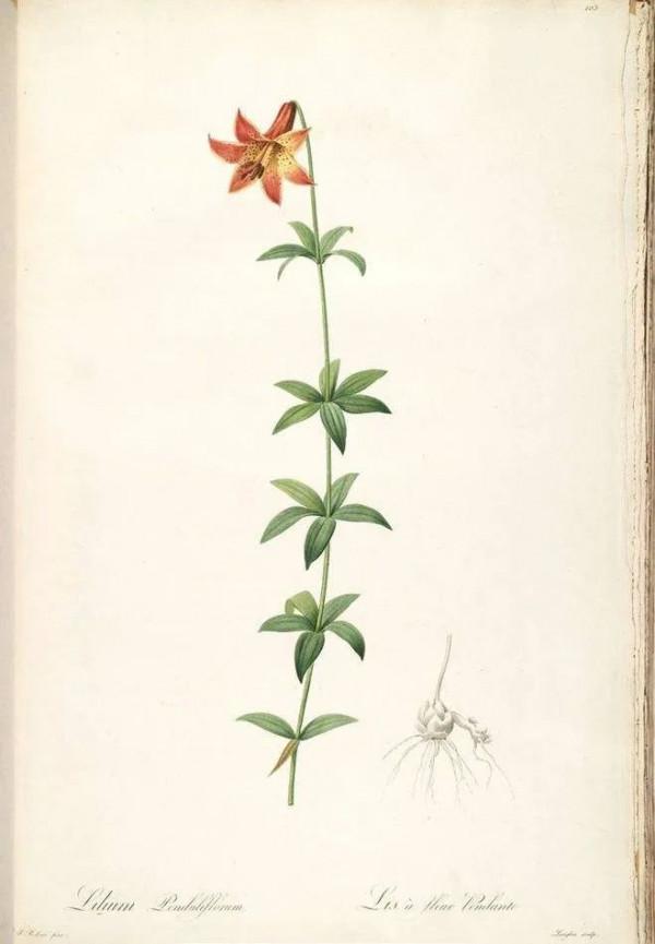 夜讀 | 與其向別人訴苦，不如做好自己的擺渡人