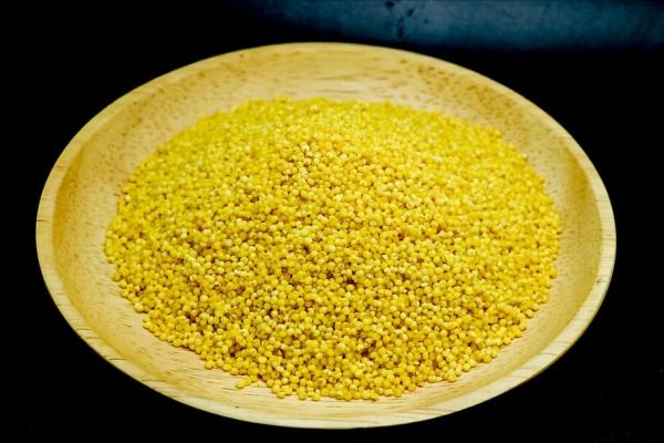 煮小米粥,不要直接加水煮,要想米粥香濃米油厚,就得牢記2竅門 煮小米粥,不要直接加水煮,要想米粥香濃米油厚,就得牢記2竅門