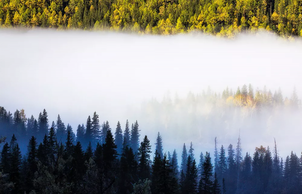 2021年，新疆非去不可，新疆怎麼玩，看完這一篇就夠了