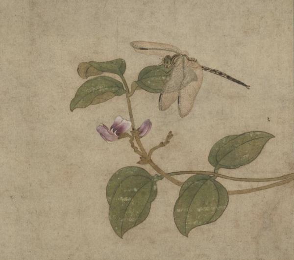 古詩詞裡的盛夏“昆蟲記” 古詩詞裡的盛夏“昆蟲記”