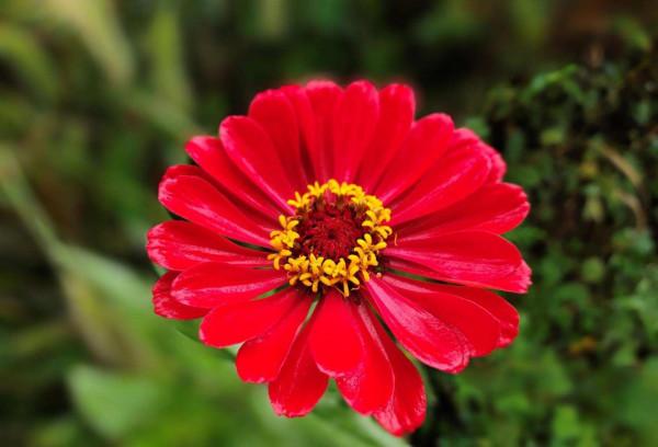 1299元就能買到27寸+2K+170Hz的電競顯示器？你沒看錯