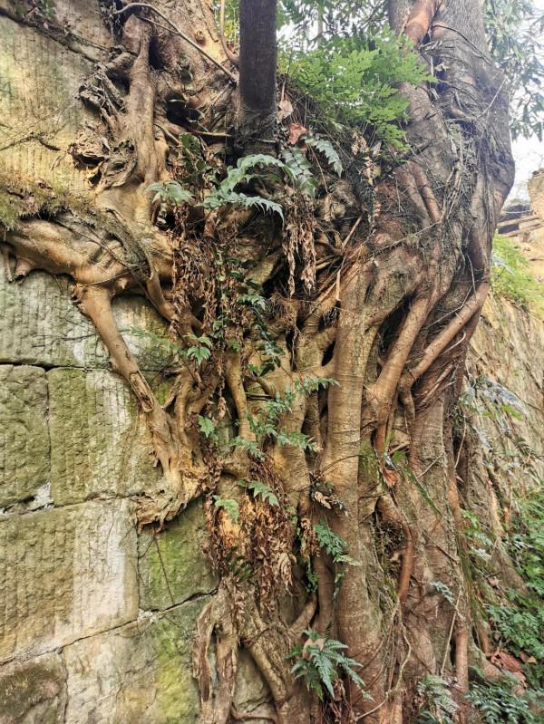 深山深處一座廟