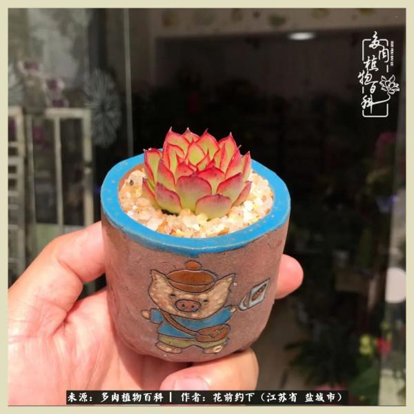 你儘管善良,福報都在路上 你儘管善良,福報都在路上