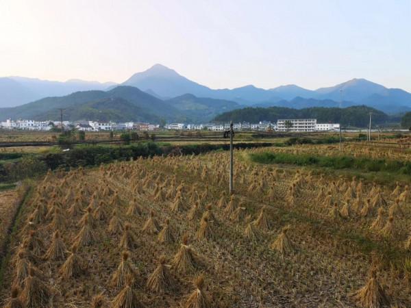 摩托周邊旮旯遊之“官莊篇”3——夜話官莊 摩托周邊旮旯遊之“官莊篇”3——夜話官莊