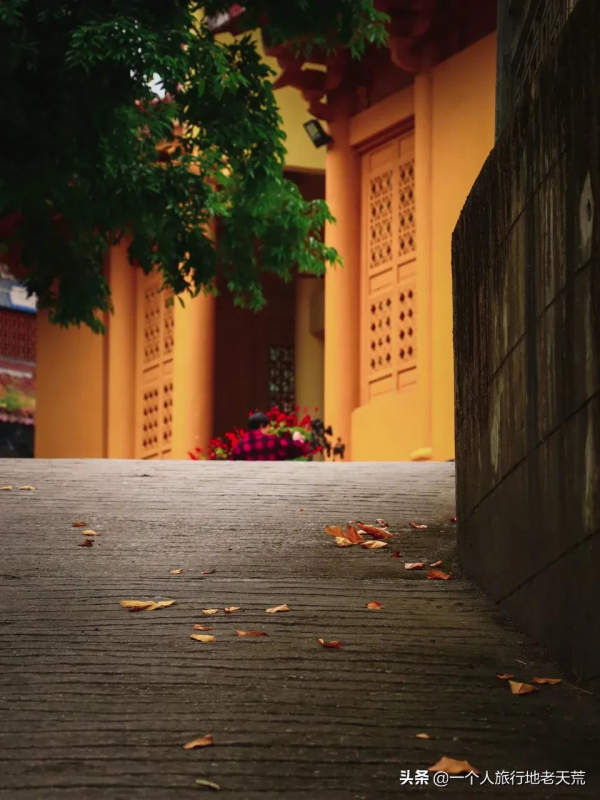 李子柒“隱居”地公開，這座比成都還安逸的城市，究竟是什麼地方